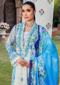 Rajbari Printkari Exclusive'24 D-04-B - Mohsin Saeed Fabrics