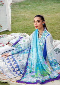 Rajbari Printkari Exclusive'24 D-04-B - Mohsin Saeed Fabrics
