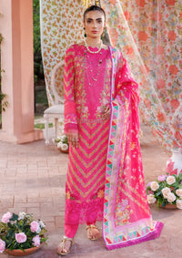 Rajbari Printkari Exclusive'24 D-05-B - Mohsin Saeed Fabrics