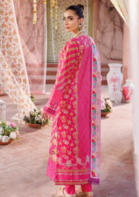 Rajbari Printkari Exclusive'24 D-05-B - Mohsin Saeed Fabrics