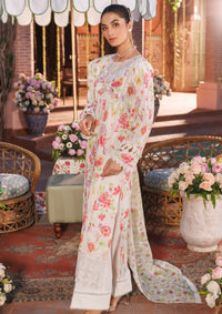 Rajbari Printkari Exclusive'24 D-06-B