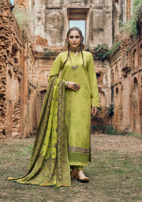 Mahrosh by Panache'24 D-04
