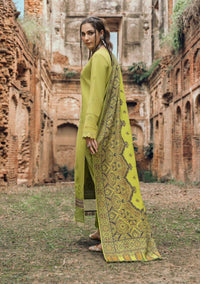 Mahrosh by Panache'24 D-04