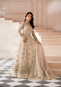 Mohid Shahzad Musavir Luxury Formals'25-Amber