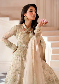 Mohid Shahzad Musavir Luxury Formals'25-Amber