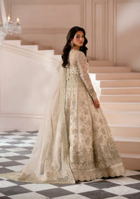 Mohid Shahzad Musavir Luxury Formals'25-Amber