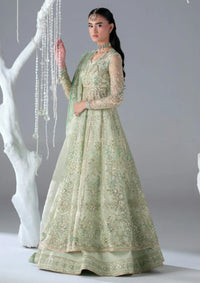 Mohid Shahzad Eliana Festive'25-Stella