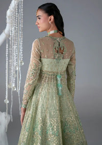 Mohid Shahzad Eliana Festive'25-Stella