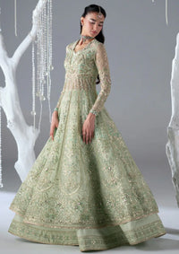 Mohid Shahzad Eliana Festive'25-Stella