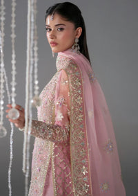 Mohid Shahzad Eliana Festive'25-Blossom