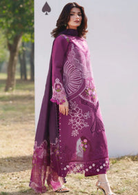 Parishay Summer Queen'26 SQ-13