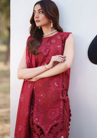 Parishay Summer Queen'26 SQ-01