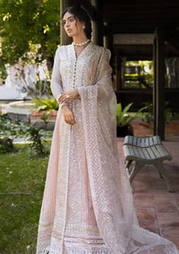 Mushq Roohi Luxury Collection'24 D-04 Anika