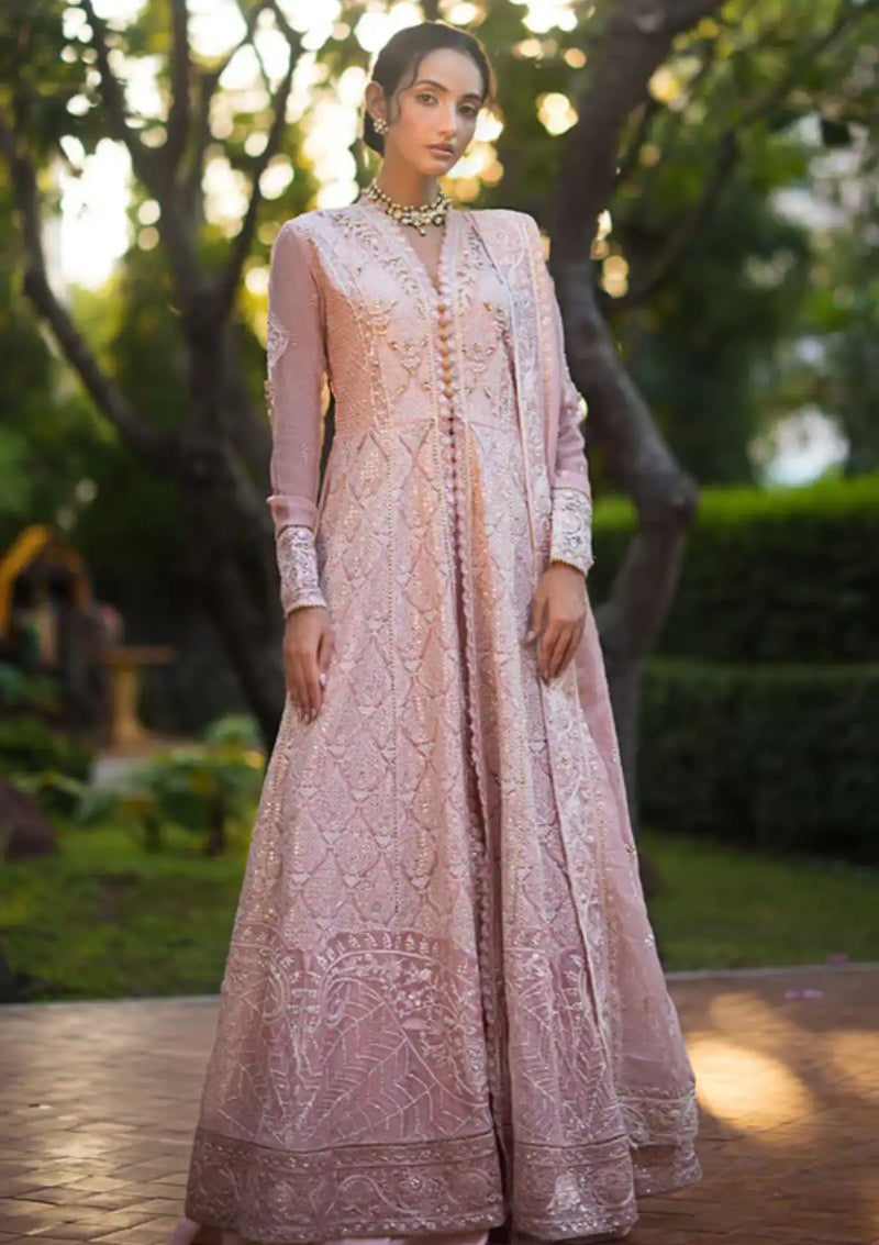 Mushq Roohi Luxury Collection'24 D-07 Aanya