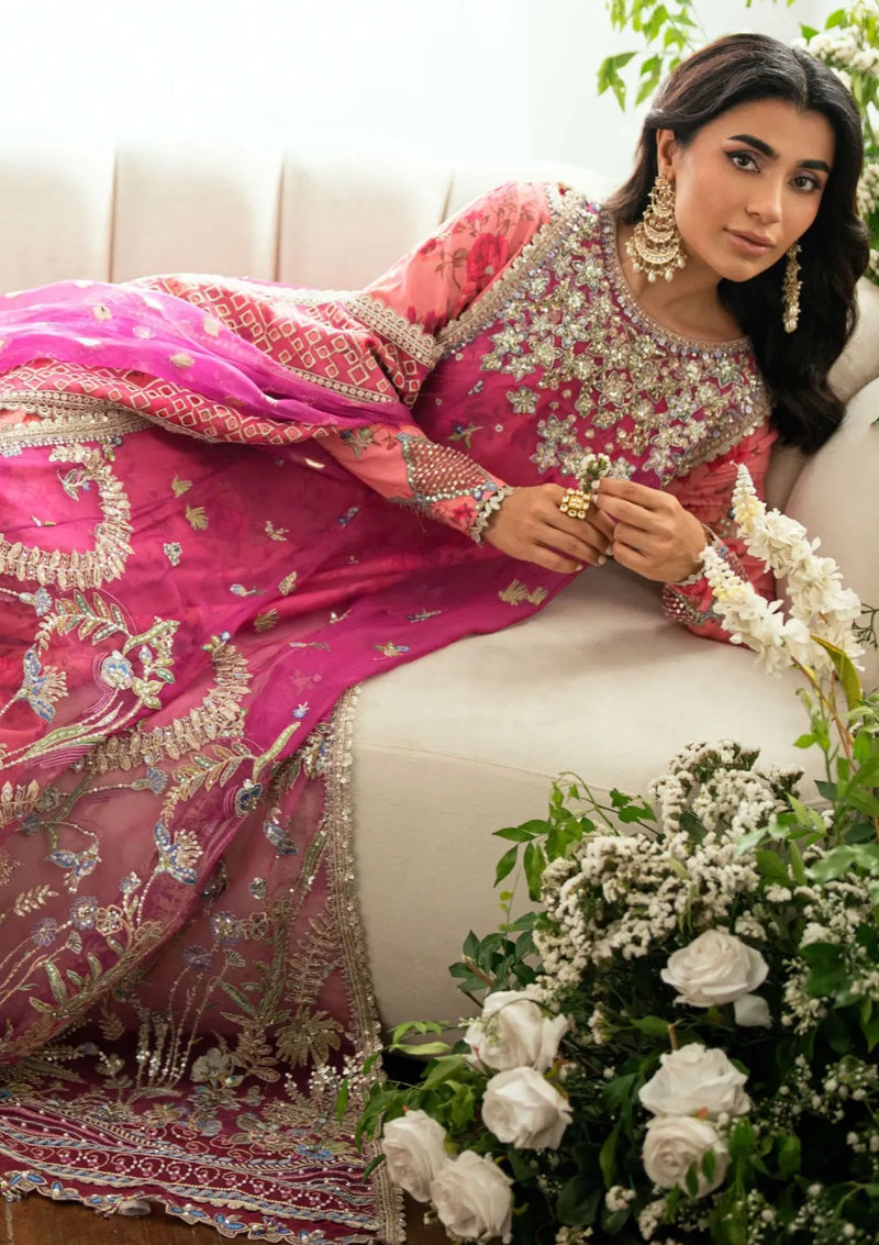 Mushq Shaam Shandar Chiffon'25 D-06-Geet Gulabi