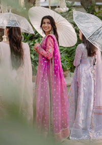 Mushq Shaam Shandar Chiffon'25 D-06-Geet Gulabi