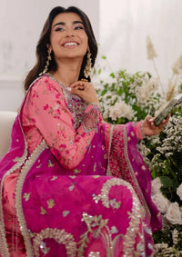 Mushq Shaam Shandar Chiffon'25 D-06-Geet Gulabi