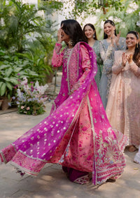 Mushq Shaam Shandar Chiffon'25 D-06-Geet Gulabi