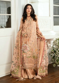 Mushq Shaam Shandar Chiffon'25 D-04 Tarannum