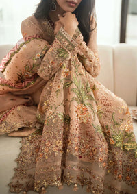 Mushq Shaam Shandar Chiffon'25 D-04 Tarannum