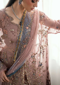 Mushq Shaam Shandar Chiffon'25 -Roop Rangoli