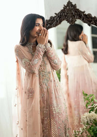 Mushq Shaam Shandar Chiffon'25 D-02 Shehnai