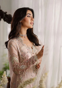 Mushq Shaam Shandar Chiffon'25 D-02 Shehnai