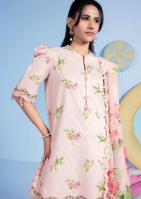 Maria.B M.Basics Spring Summer'26 D-15A