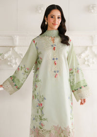 Roheenaz Sunlit Tales'26 D-05 Meadow Glow