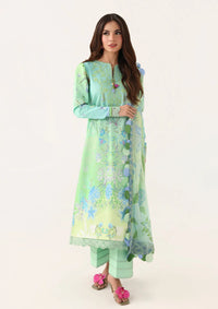 Roheenaz Rosette Lawn'26 D-61B Morning Dew