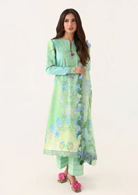 Roheenaz Rosette Lawn'26 D-61B Morning Dew