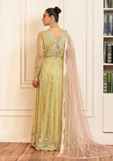 Mushq Aura Debut Wedding'25 D-02 WASABI