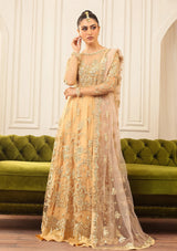 Mushq Aura Debut Wedding'25 D-03 CHAMOIS