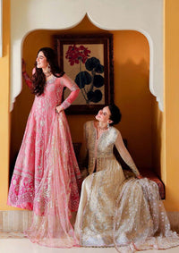 Mushq Bachelorette Chiffon'26 D-07 Pink Promise