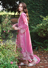 Hemline By Mushq Secret Garden Lawn'26 D-08 Mystic Camellia