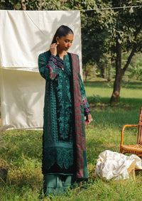 Saira Rizwan Winter'24 SRW-01 DEA