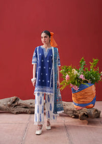 Saira Rizwan Laanem'26 D-04 ZOYA-A