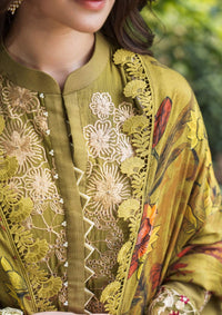 Asifa & Nabeel Luxury Winter’24 WL-04 NOA