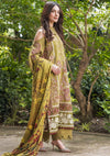 Asifa & Nabeel Luxury Winter’24 WL-04 NOA