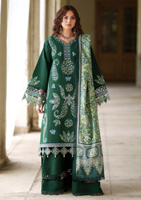 Mahnur Nova Khaddar'26 NV-08