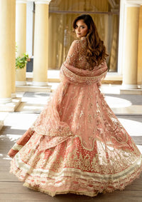 Mushq Darlings Wedding'25 D-05 Naina