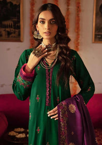 Rajbari Nissa Chikankari Khaddar'23 D-01 - Mohsin Saeed Fabrics