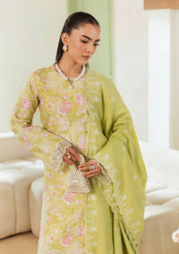 mohsin-saeed-fabrics-designer-daily-wear-formal-and-wedding-suits-within-budget-This-product-is-from-rajbari-nissa-premium-marina-winter25-d-10-is-available-on-Mohsin-saeed-fabrics-website.
