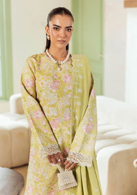 mohsin-saeed-fabrics-designer-daily-wear-formal-and-wedding-suits-within-budget-This-product-is-from-rajbari-nissa-premium-marina-winter25-d-10-is-available-on-Mohsin-saeed-fabrics-website.