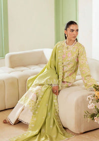 mohsin-saeed-fabrics-designer-daily-wear-formal-and-wedding-suits-within-budget-This-product-is-from-rajbari-nissa-premium-marina-winter25-d-10-is-available-on-Mohsin-saeed-fabrics-website.