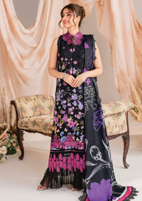 Asifa & Nabeel Winter Meraki’24 MW-10 Nocturne
