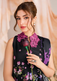 Asifa & Nabeel Winter Meraki’24 MW-10 Nocturne