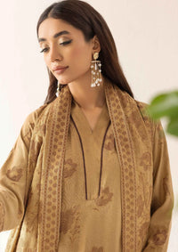 Noor-E-Chasham By Khoobsurat Peach Leather'25 NC-02