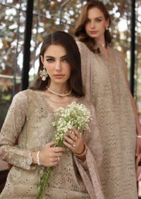 mohsin-saeed-fabrics-designer-daily-wear-formal-and-wedding-suits-within-budget-This-product-is-from-noor-by-saadia-asad-eid-luxury-laserkari25-is-available-on-Mohsin-saeed-fabrics-website.
