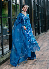 Nureh Ballerina Emb & Embellished Chiffon'25 NU2-153